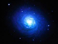 Mini Spiral